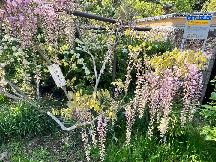 天台宗 五大山 白毫寺(兵庫県)