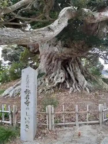 称名寺(宮城県)