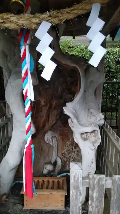 金蛇水神社(宮城県)