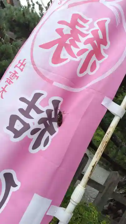 出雲大神宮の動物