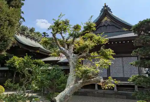 埴生神社(千葉県)