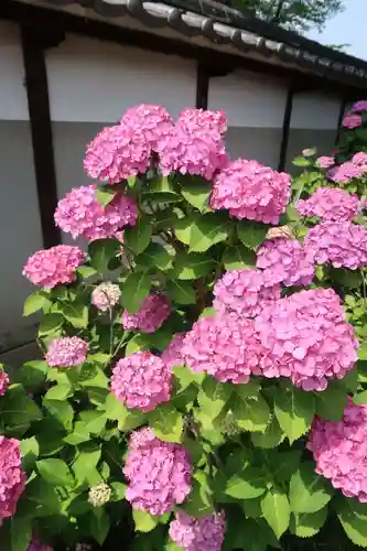 性海寺(愛知県)