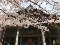 金剛宝寺(紀三井寺)の本殿・本堂