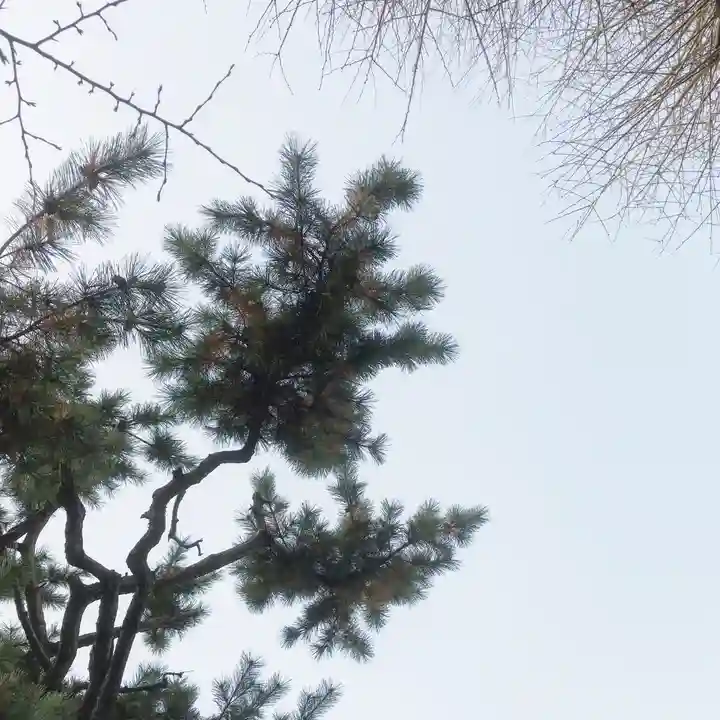 利田神社の自然