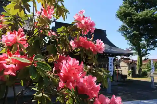 多田野本神社の庭園