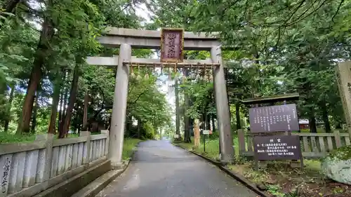 冨士御室浅間神社の鳥居