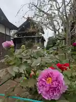 境香取神社(茨城県)