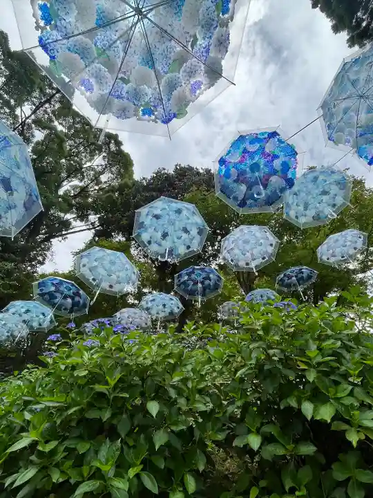 柳谷観音 楊谷寺(京都府)
