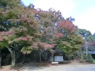 千早神社のその他建物