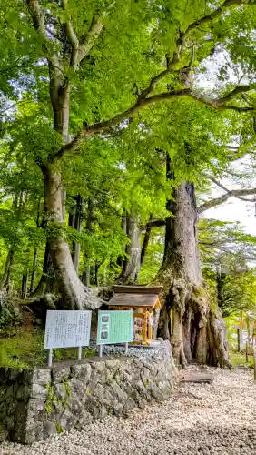 富士山東口本宮 冨士浅間神社の{uncategorized: "未分類", other: "その他", undefined: "問題あり", building: "その他建物", grave: "お墓", sacred_gate: "鳥居", guardian: "狛犬", statue: "像", buddha: "仏像", history: "歴史", nature: "自然", garden: "庭園", animal: "動物", pagoda: "塔", temizu: "手水舎", mountain_gate: "山門・神門", sanctuary: "本殿・本堂", subordinate: "末社・摂社", art: "芸術", scenery: "景色", jizo: "地蔵", ema: "絵馬", goshuin: "御朱印", omikuji: "おみくじ", items: "授与品その他", amulet: "お守り", goshuincho: "御朱印帳", eats: "食事", festival: "お祭り", votive_dance: "神楽", shichigosan: "七五三参", wedding: "結婚式", experience: "体験その他", initially: "初詣", around: "周辺", anti_infection: "感染症対策"}