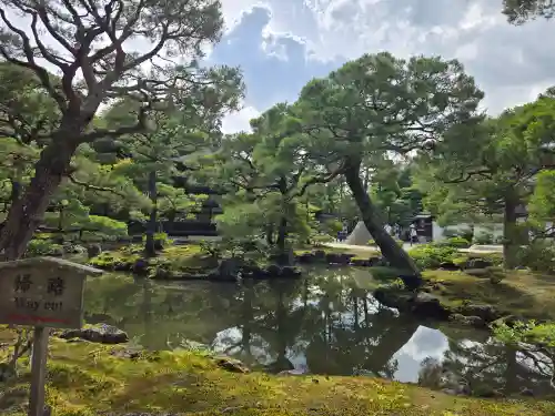 慈照寺（慈照禅寺・銀閣寺）(京都府)