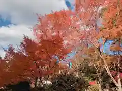 壺井八幡宮(大阪府)