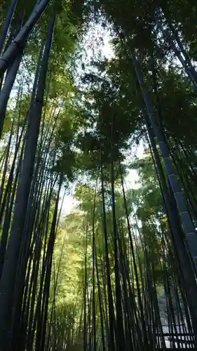 報国寺(神奈川県)