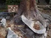 白山神社(愛知県)