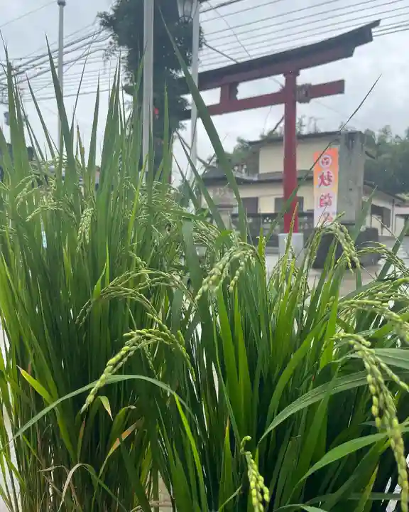 大鏑神社(福島県)