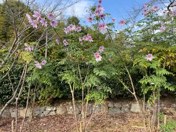 勧修寺(京都府)