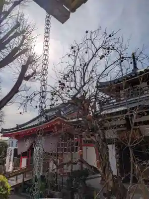 成願寺(東京都)