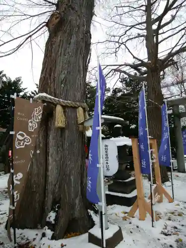 札幌諏訪神社の自然