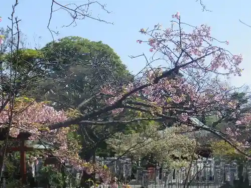 鶴岡八幡宮の自然