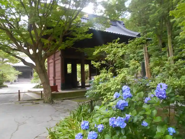 妙本寺のその他建物