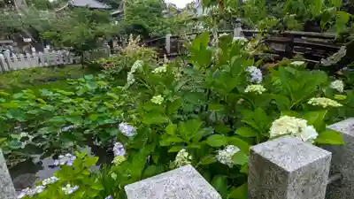 くろ谷 金戒光明寺(京都府)