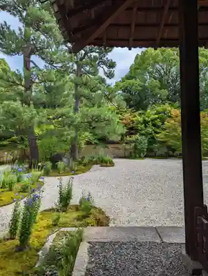 廬山寺(廬山天台講寺)(京都府)