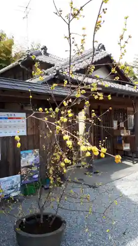 前玉神社(埼玉県)