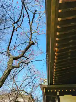 牛天神北野神社(東京都)