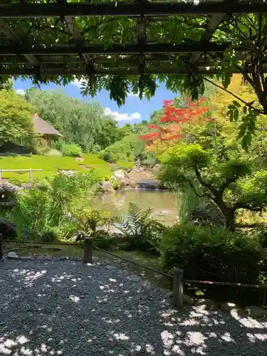 退蔵院の庭園