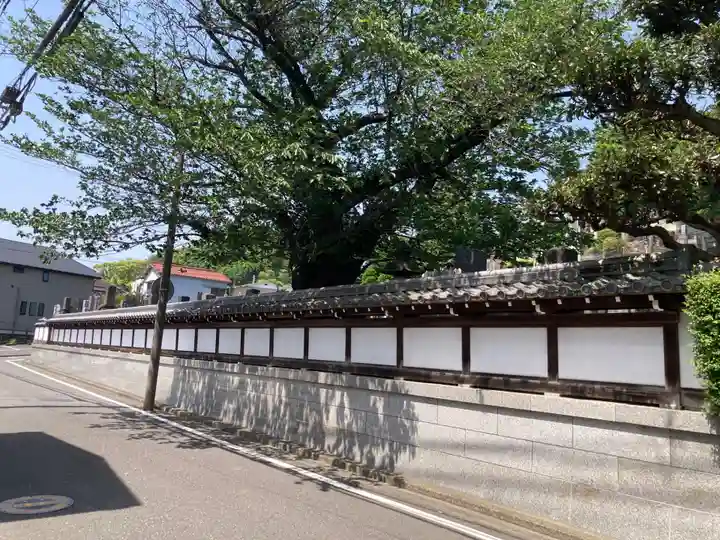 天徳院(神奈川県)