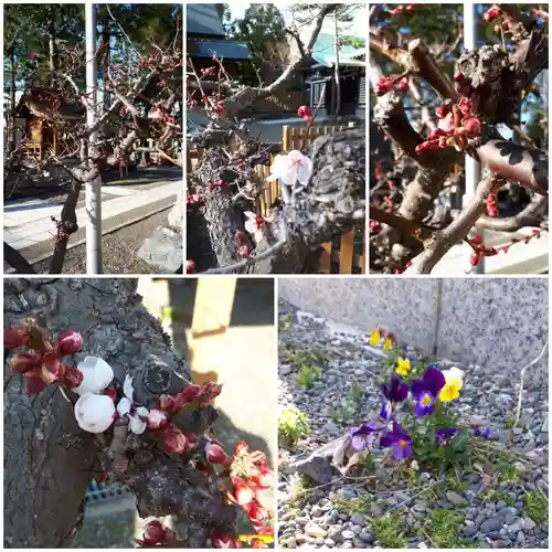 刈田神社の自然