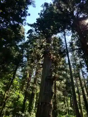 出羽神社(出羽三山神社)～三神合祭殿～(山形県)