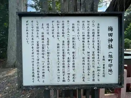 梅田神社(京都府)