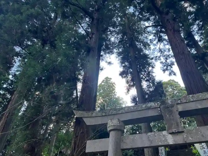 大宮温泉神社(栃木県)