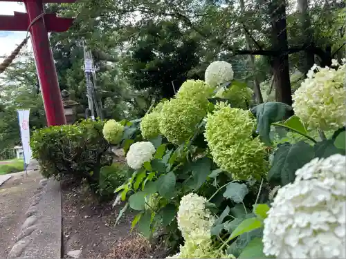 吾妻神社(群馬県)