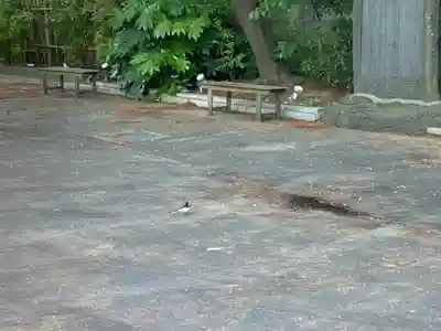 西蓮寺(千葉県)