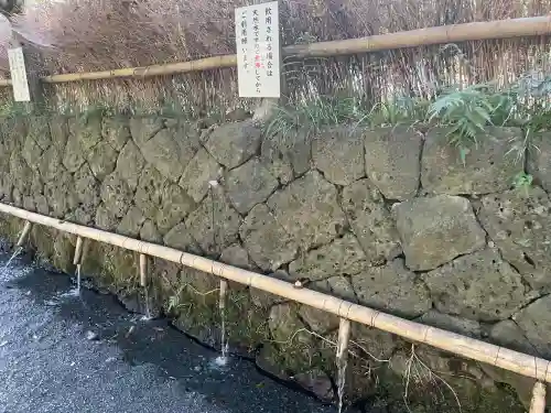 富士山本宮浅間大社(静岡県)