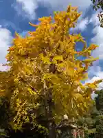 道明寺天満宮の自然