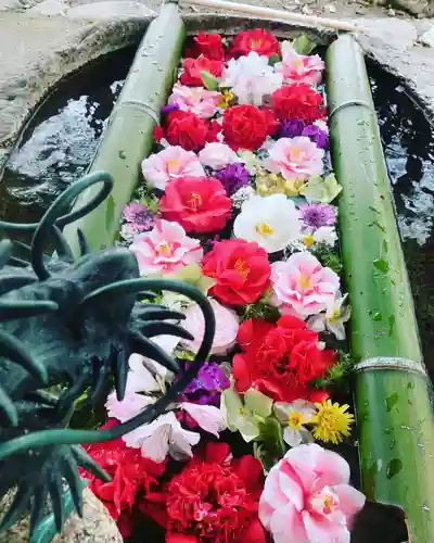 立志神社(滋賀県)