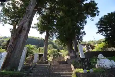 龍澤寺(群馬県)