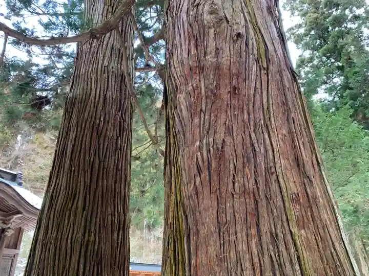 藤沼神社(福島県)