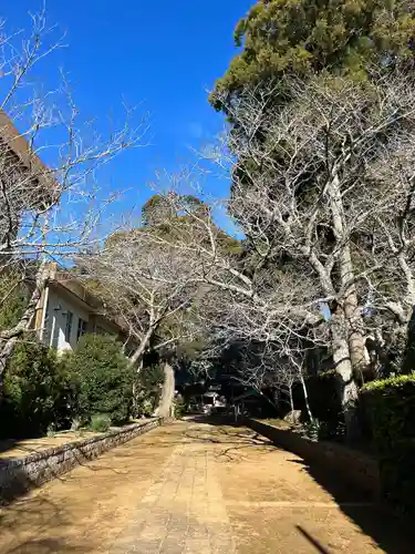 松山神社(千葉県)