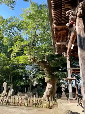 実成寺(福島県)