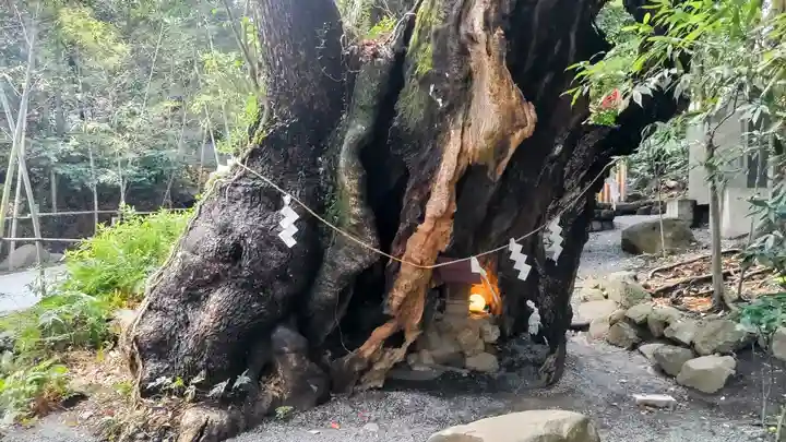 來宮神社(静岡県)