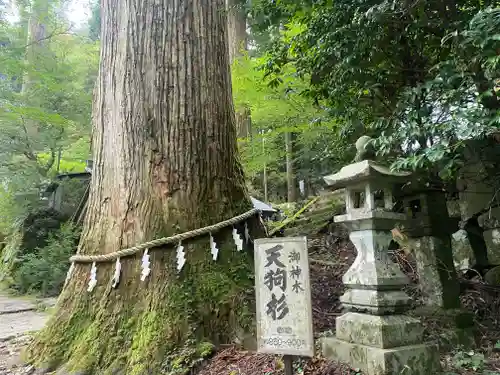 英彦山豊前坊高住神社(福岡県)