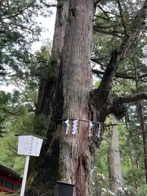 日光二荒山神社(栃木県)