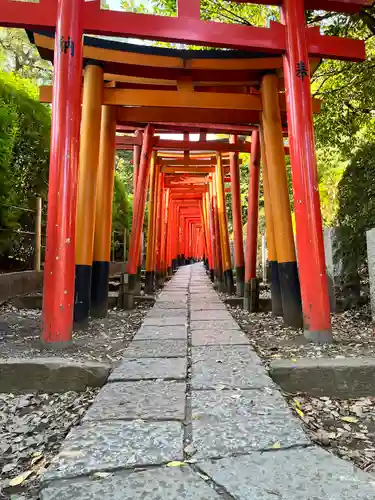 根津神社の鳥居