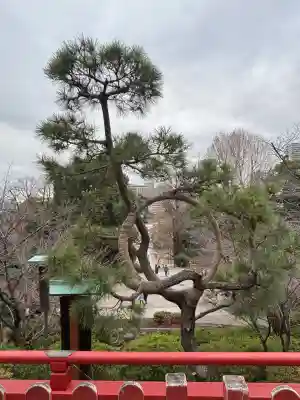 清水観音堂の{uncategorized: "未分類", other: "その他", undefined: "問題あり", building: "その他建物", grave: "お墓", sacred_gate: "鳥居", guardian: "狛犬", statue: "像", buddha: "仏像", history: "歴史", nature: "自然", garden: "庭園", animal: "動物", pagoda: "塔", temizu: "手水舎", mountain_gate: "山門・神門", sanctuary: "本殿・本堂", subordinate: "末社・摂社", art: "芸術", scenery: "景色", jizo: "地蔵", ema: "絵馬", goshuin: "御朱印", omikuji: "おみくじ", items: "授与品その他", amulet: "お守り", goshuincho: "御朱印帳", eats: "食事", festival: "お祭り", votive_dance: "神楽", shichigosan: "七五三参", wedding: "結婚式", experience: "体験その他", initially: "初詣", around: "周辺", anti_infection: "感染症対策"}
