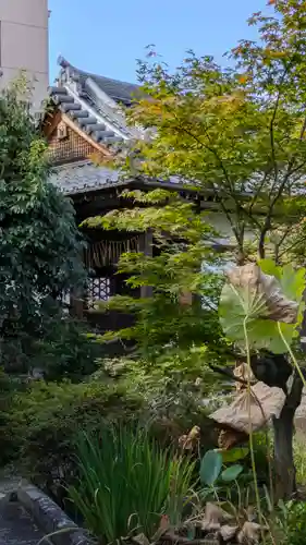 香雪院(京都府)