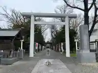 新琴似神社の鳥居